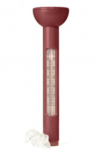 Queen Anne Celsius Badtermometer Turkos