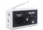 Multifunctionele Road Radio met LED verlichting - FM radio, USB, Solcell, Dynamo RD626