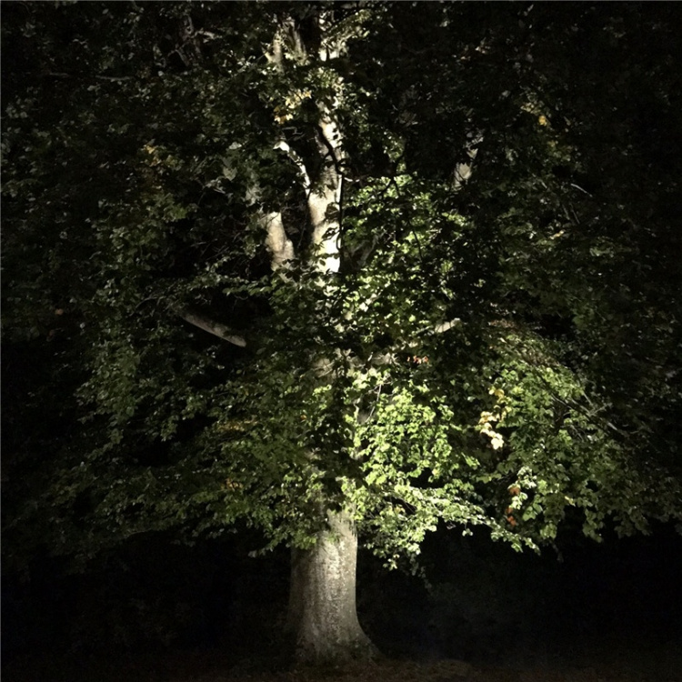 LightsOn Castor In-ground-markspot 1100