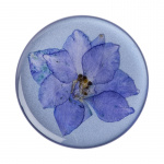 POPSOCKETS Pressed Flower Larkspur Removable Grip with Standfunction Premium  POPSOCKETS Pressed Flower Larkspur Removable Grip with Standfunction Premium
