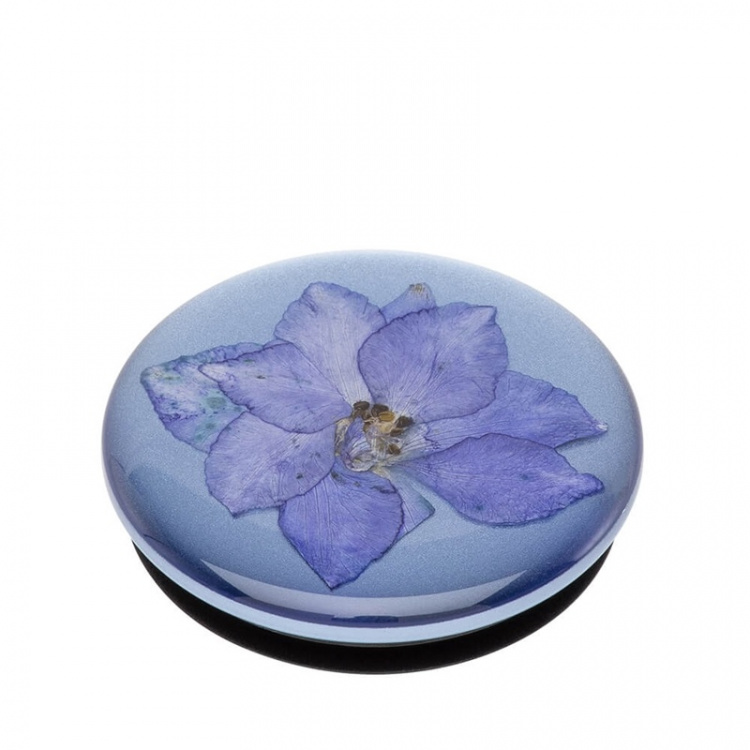 POPSOCKETS Pressed Flower Larkspur Removable Grip with Standfunction Premium  POPSOCKETS Pressed Flower Larkspur Removable Grip with Standfunction Premium