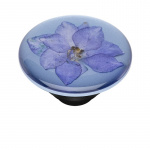 POPSOCKETS Pressed Flower Larkspur Removable Grip with Standfunction Premium  POPSOCKETS Pressed Flower Larkspur Removable Grip with Standfunction Premium