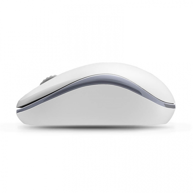 RAPOO Mice M10+ 2.4 GHz Wireless Optical White RAPOO Mice M10+ 2.4 GHz Wireless Optical White