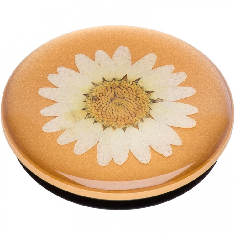 POPSOCKETS Pressed Flower White Daisy Removable Grip with Standfunction Premium 