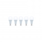LED Lamp E27, A65, 15W, 230V, 6000K 5-pack, Koel Wit