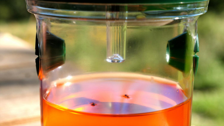 Genius Ideas Insectenval op zonne-energie