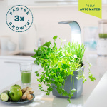 TREGREN Kitchen Garden T3 Grey