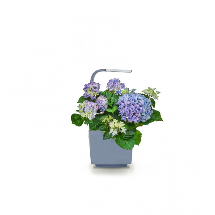 TREGREN Kitchen Garden T3 Grey