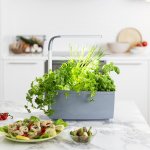 Tregren Moestuin T6 Grijs