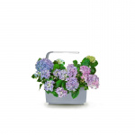 Tregren Moestuin T6 Grijs