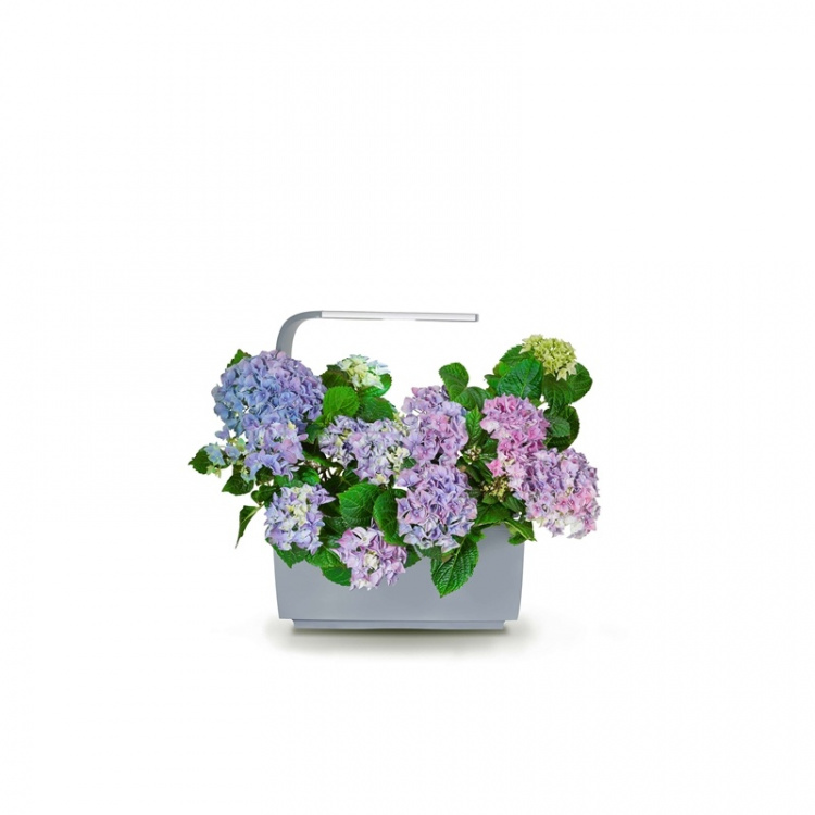 Tregren Moestuin T6 Grijs