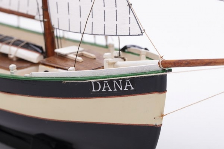 1:60 Dana - Plastic hull
