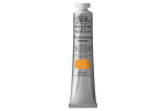 Prof Acrylic 200ML RAW SIENNA 552