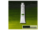 Artists Oil Col 200ML SAP GREEN 599