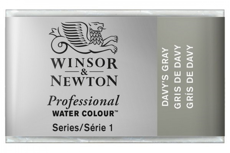 Prof Water Colour Pan/W Davys Gray 217