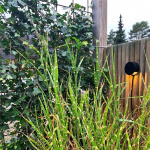 LightsOn Nero Downlight 140lm Ø9cm Svar