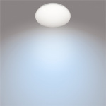 Philips CL200 Plafond 225mm 6W 600 270