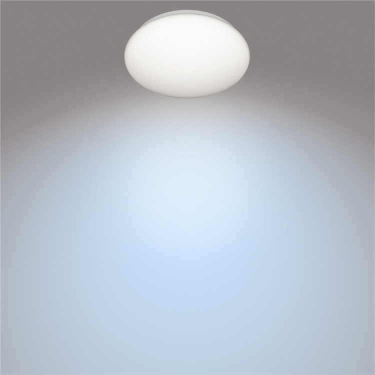 Philips CL200 Plafond 225mm 6W 600 270