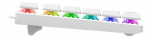WHITE LINE WK90B TKL Mechanical keyboard, Brown switches, RGB, white
