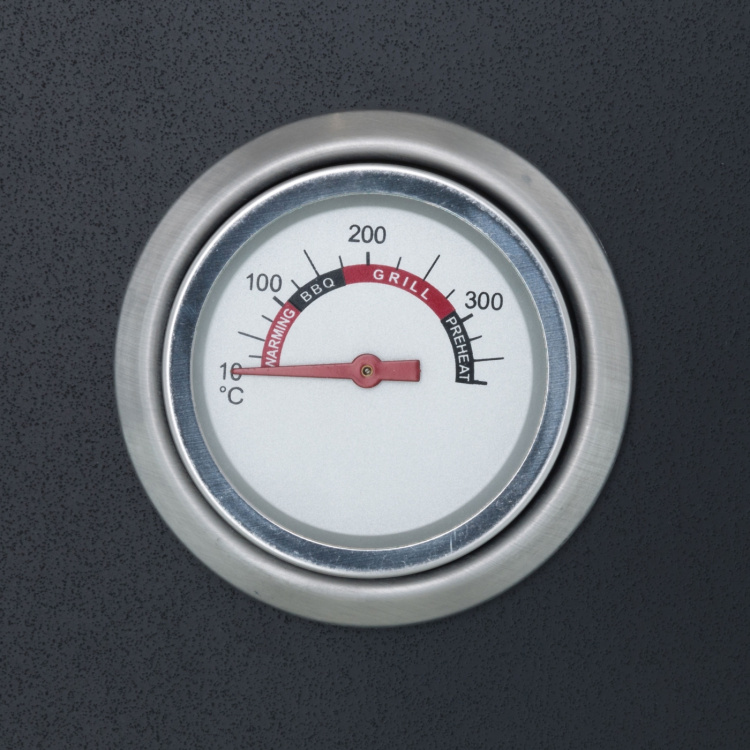 Mustang Pizza ugn gasdriven