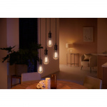 Philips Hue White Ambiance Filament E2