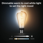 Philips Hue White Ambiance Filament E2