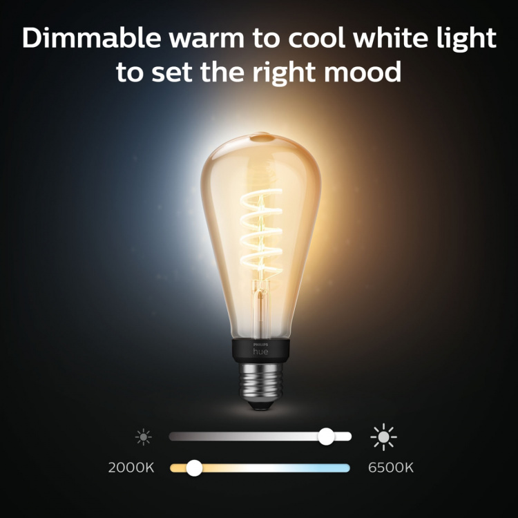 Philips Hue White Ambiance Filament E2