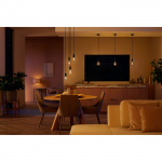 Philips Hue White Ambiance Filament E2