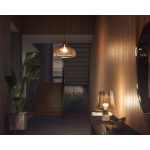 Philips Hue Witte E27 A60 800lm 4-pack Philips Hue Witte E27 A60 800lm 4-pack