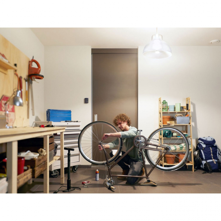 Philips Hue White E27 A67 1600lm 1-pac