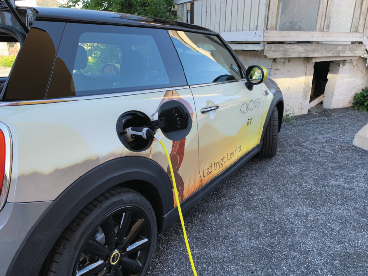 Kokong Ev Zen-oplader, Fjord Roze Kokong Ev Zen-oplader, Fjord Roze