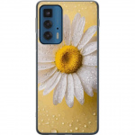 Mobiele hoes voor Motorola Edge 20 Pro met Porseleinbloem ontwerp