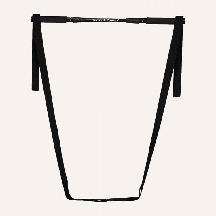 SWEDISH POSTURE Mini Gym  SWEDISH POSTURE Mini Gym