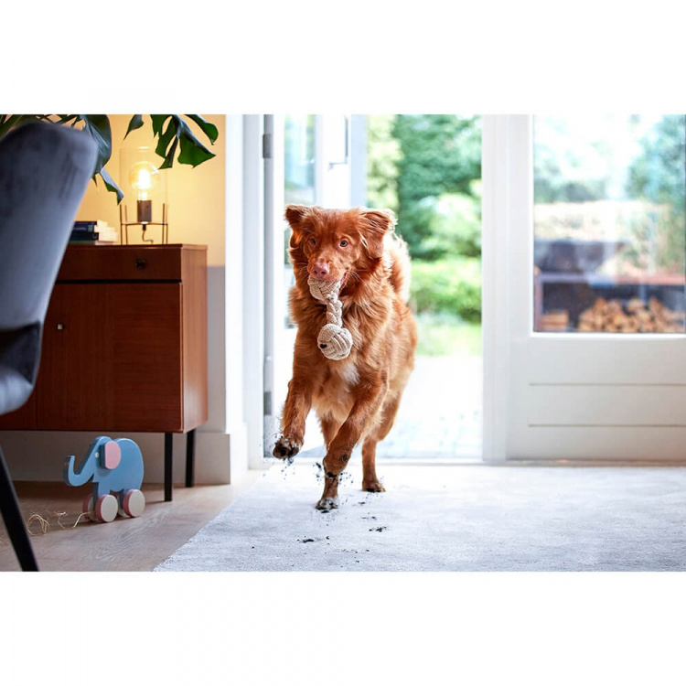 BISSELL Spotclean Pet Pro 