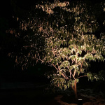 Nova Trädgårdsspot Varmt till Nova Trädgårdsspot Varmt till