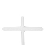 Nedis TV Vloerstandaard | 50 - 65  Nedis TV Vloerstandaard | 50 - 65