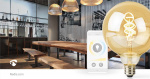 Nedis SmartLife LED Filamentlamp | E27 | 360 lm | 4.90 W | Warm tot Koel Wit | 1800 - 6500 K | Glas | Android™ / IOS | Globe | 1 Stuks Nedis SmartLife LED Filamentlamp | E27 | 360 lm | 4.90 W | Warm tot Koel Wit | 1800 - 6500 K | Glas | Android™ / IOS | Globe | 1 Stuks