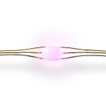 Nedis SmartLife LED Strip | Meerkleurig | SMD | 5.00 m | IP20 | 2700 - 6500 K | 400 lm | Android™ / IOS