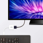 aten DisplayPort naar HDMI-adapter