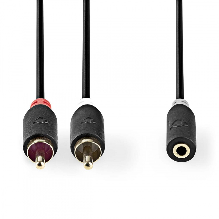 Nedis Stereo-Audiokabel | 2x RCA Male | 3,5 mm Female | Verguld | 1.00 m | Rond | Antraciet | Doos