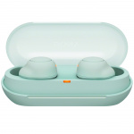 Sony WF-C500 Mint Green