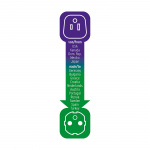 brennenstuhl Reisadapter USA/Japan-naar-Europa Geaard