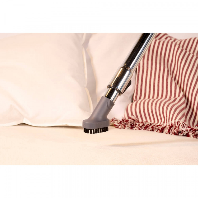 Solac Bagless Vacuum Cleaner More Brave 800W Solac Bagless Vacuum Cleaner More Brave 800W