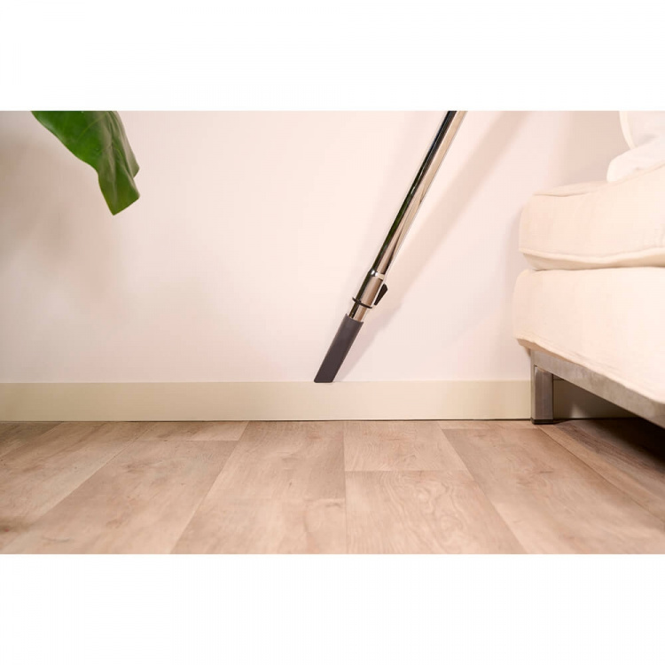 Solac Bagless Vacuum Cleaner More Brave 800W Solac Bagless Vacuum Cleaner More Brave 800W