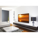 Fixed Wall Mount 10”-39”