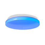 Nedis SmartLife Plafondlamp | Wi-Fi | RGB / Warm tot Koel Wit | Rond | Diameter: 260 mm | 1820 lm | 3000 - 6500 K | IP20 | Energieklasse: F | Android™ / IOS
