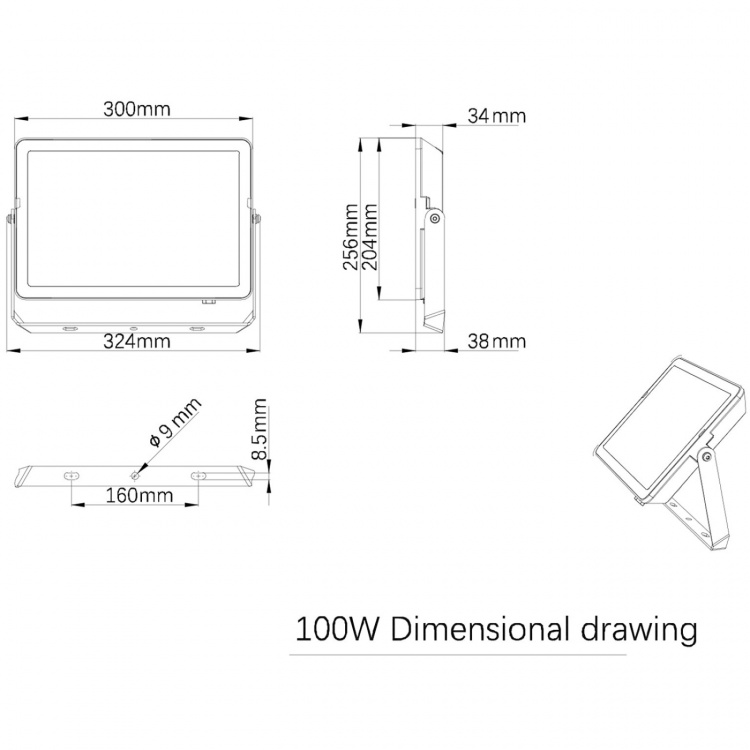 Philips ProjectLine Strålkastare 100W 9500lm