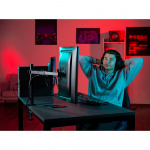 Monitor Holder For Monitors 13