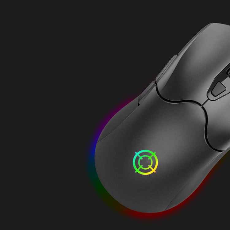 Gaming Mouse M100 RGB