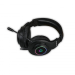 Gaming Headset H100 RGB Gaming Headset H100 RGB